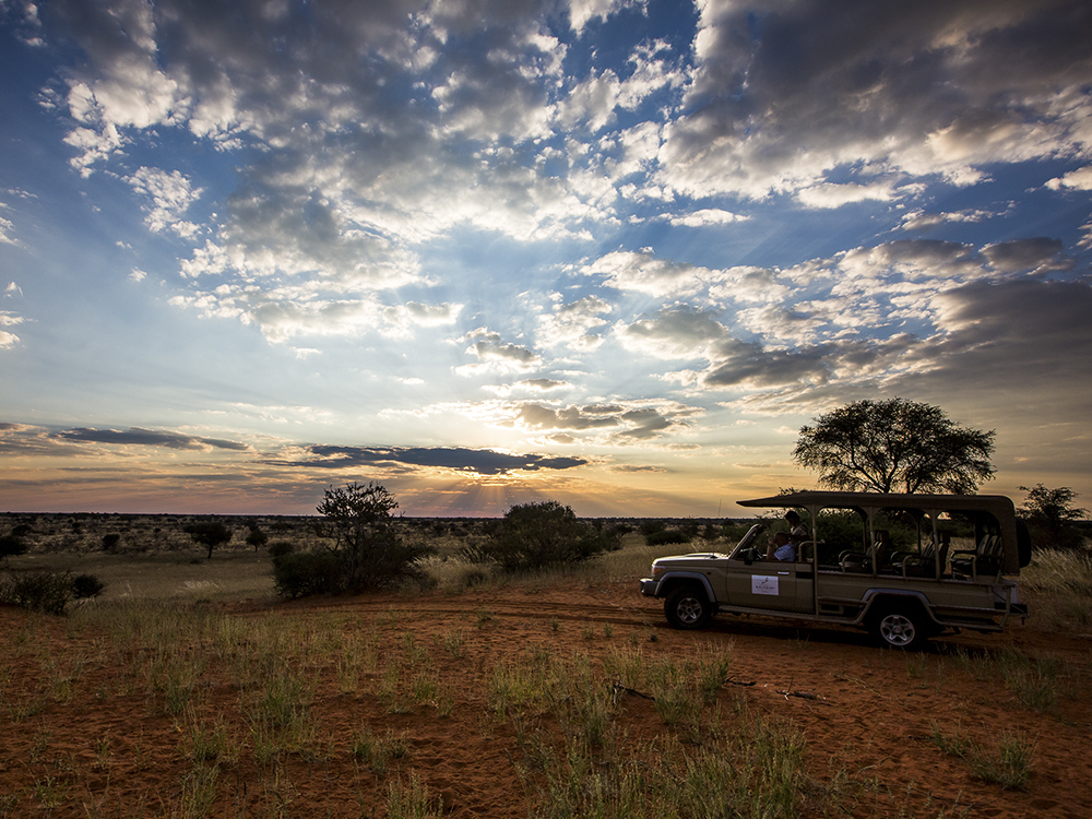 Kalahari