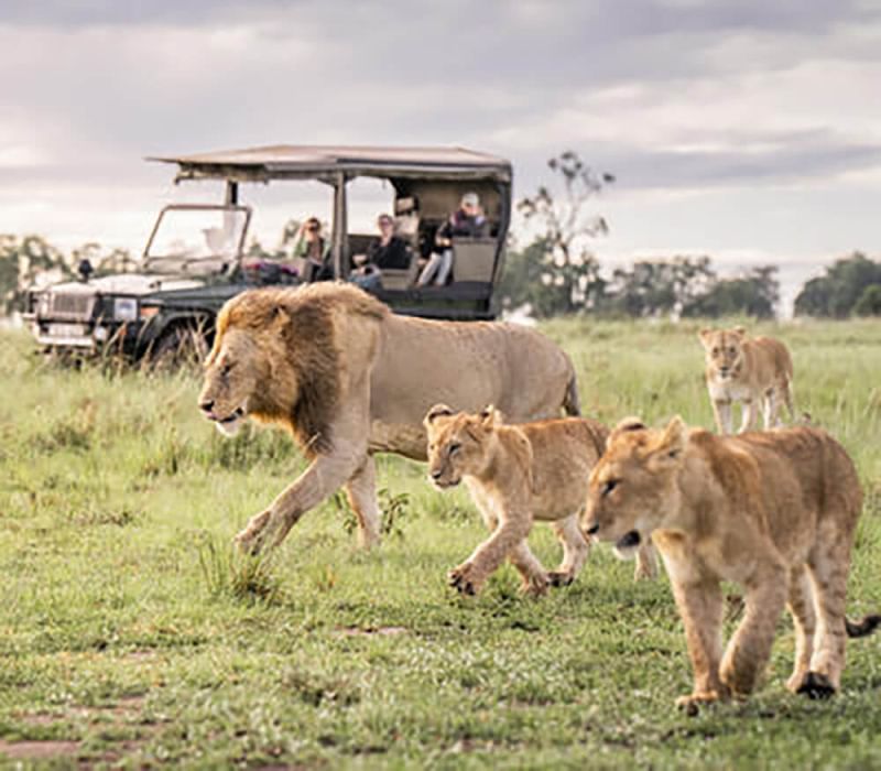 naivasha-12