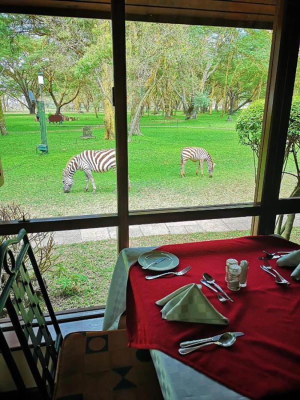 naivasha-28