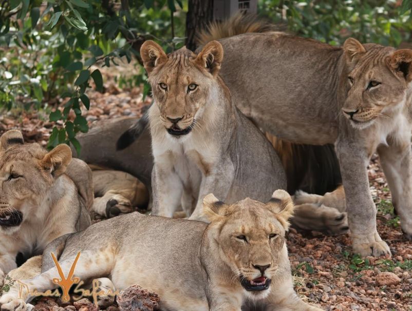 12-Day Namibia Journey