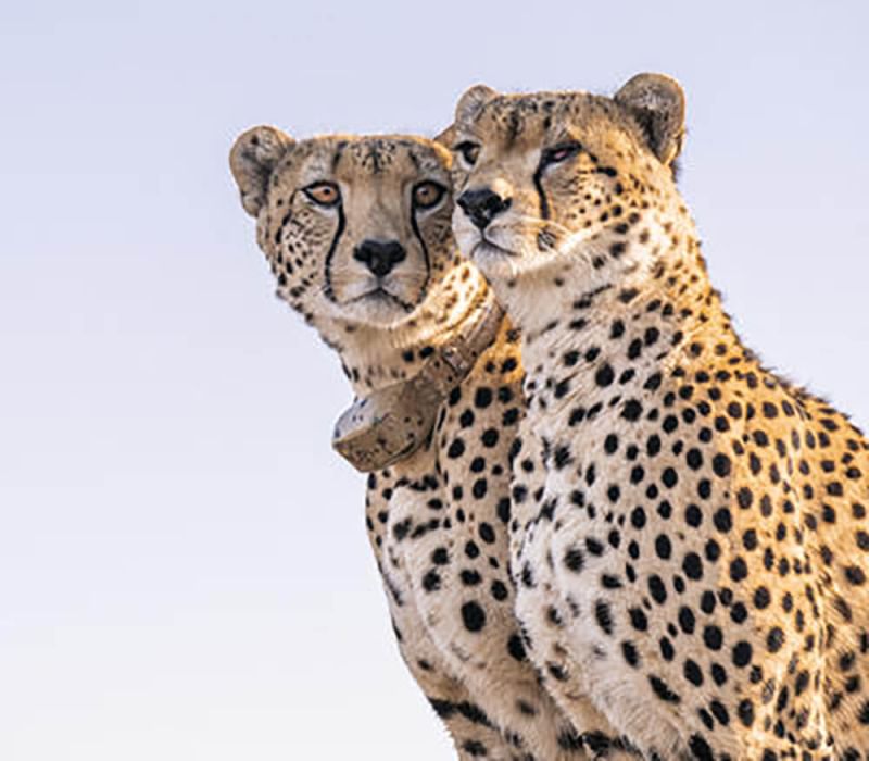 naivasha-05