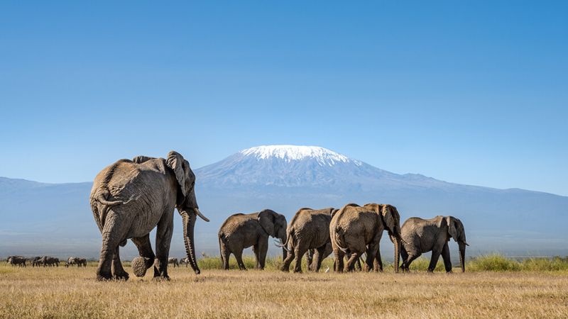 naivasha-15