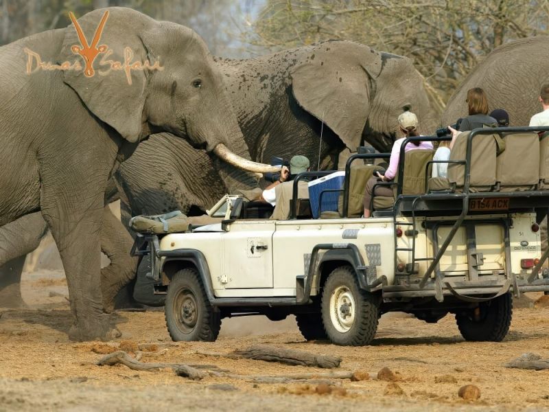 glamping-namibia-01