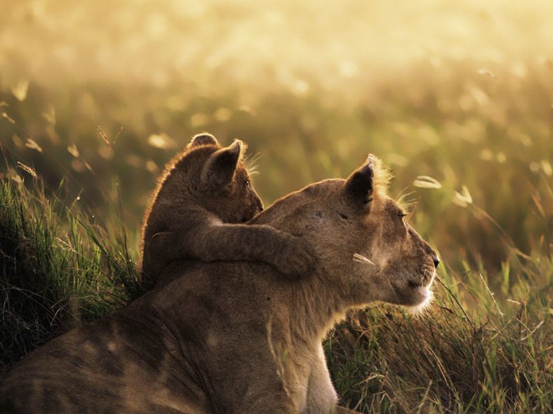 DISCOVERY GUIDED NAMIBIA SAFAFRI TOURS