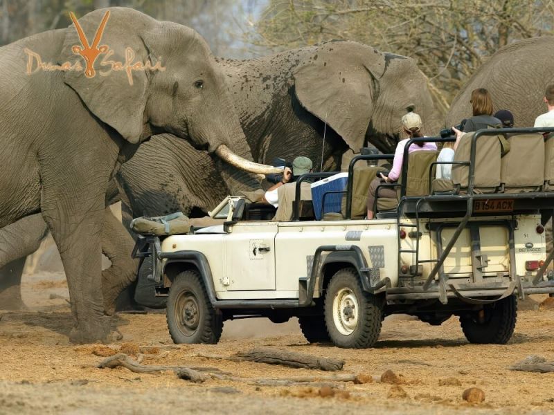 wild-namibia-02