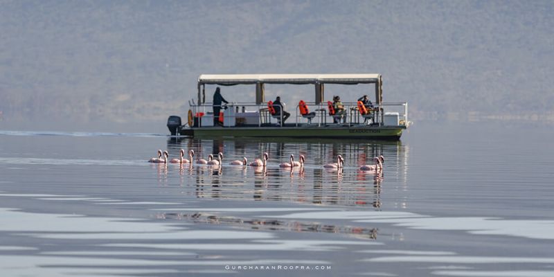 naivasha-19