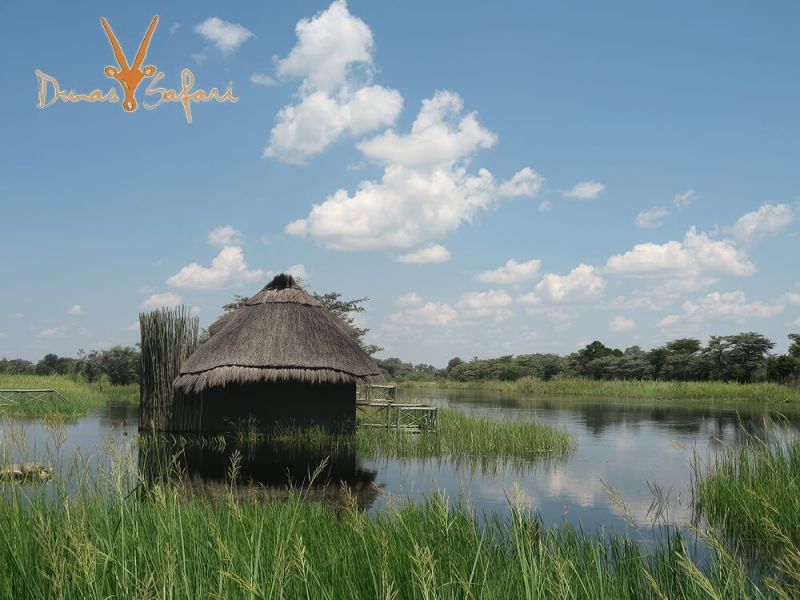etosha-06