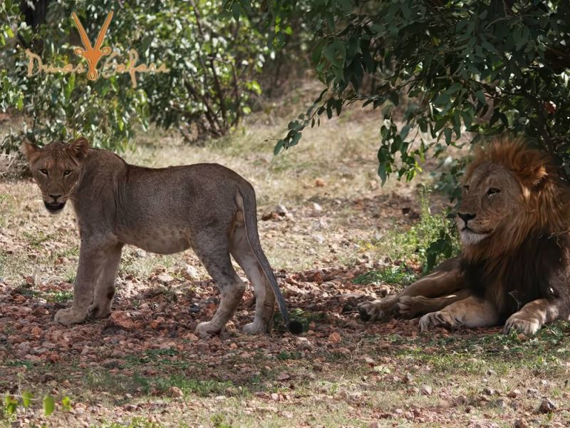wild-namibia-05
