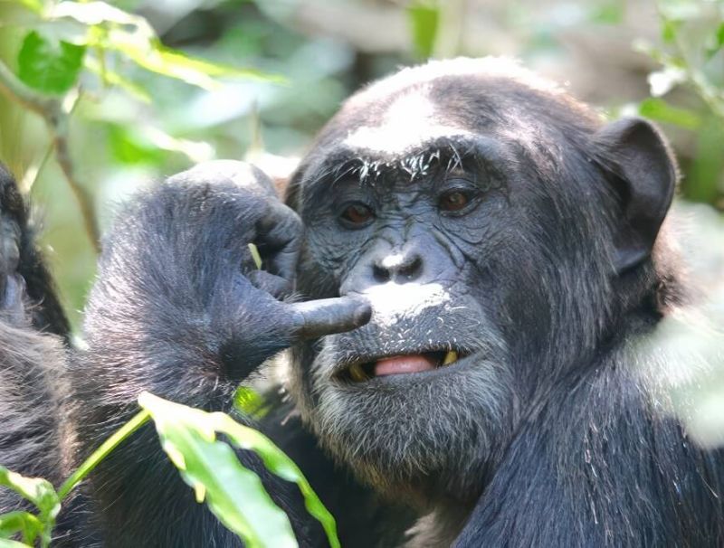Uganda - Guided Tour