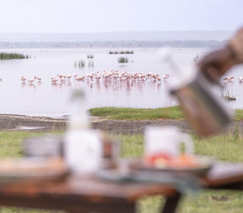 naivasha-10