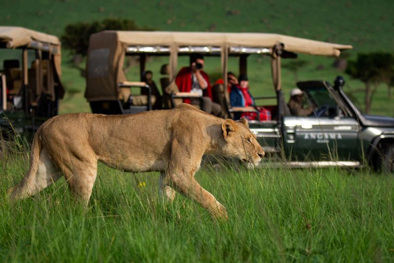 naivasha-29