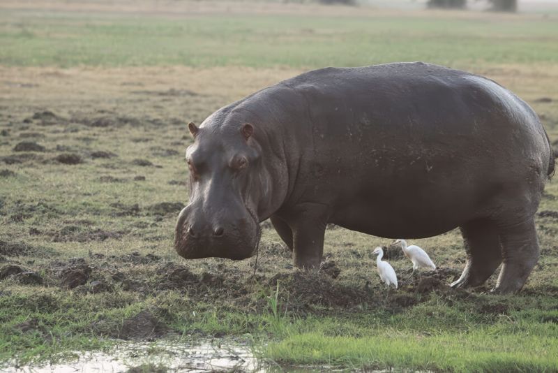 etosha-03