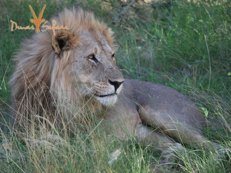 etosha-05