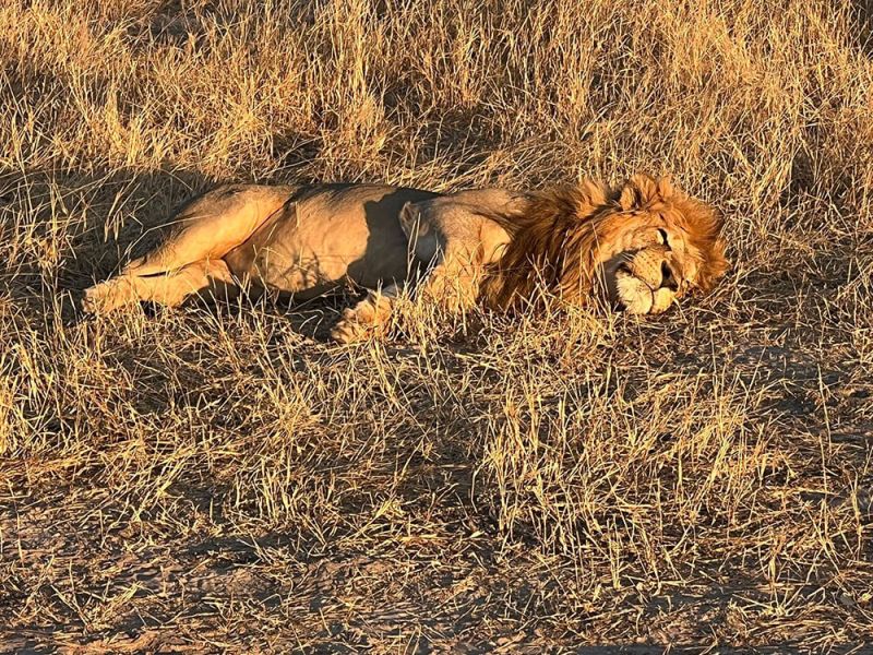 victoria-falls-06