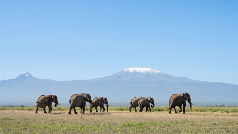 naivasha-16